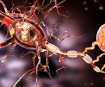 New research shows astrocytes are key to swaying the pendulum in Alzheimer's disease progression