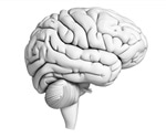 Researchers identify brain signatures for chronic pain in a small group of individuals