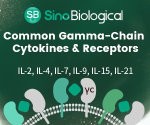 Recombinant gamma-chain cytokines, receptor proteins, and antibodies