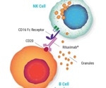 Role of NK cells for enhanced combination therapy to treat B-Cell Lymphoma
