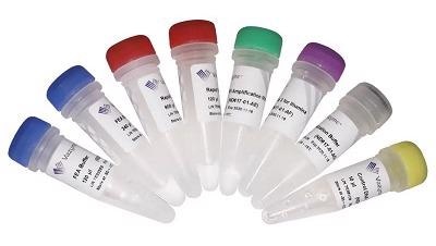 VAHTS Universal Plus DNA library prep kit for Illumina for DNA library preparation (ND617)