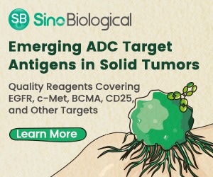 ADC target antigens in solid tumors
