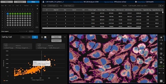 Image analysis made easy with IN Carta Software
