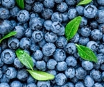 Berry beneficial: Blueberry consumption alleviates abdominal pain in gastrointestinal disorders