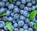 Precision nutrition and the gut microbiome: the impact of blueberries