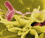 New technique for early detection of foodborne bacteria
