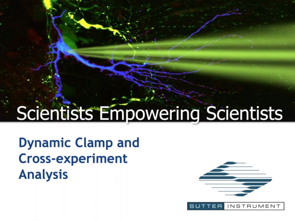 Dynamic Clamp and Cross-Experiment Analysis - Scientists Empowering Scientists